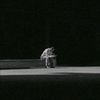 imbaim_2324