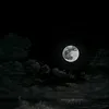 ii.iiopvi