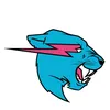 mrbeastverfied