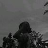 caphero_motiz