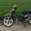 dapennnn8