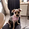 sonja.kurth