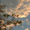 maria_2024hello