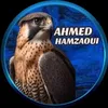 ahmed.hamzaoui_01