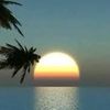 om.mohannad12