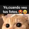jose.tuyu5