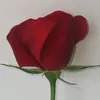 sowaart217
