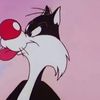 el.gato.silvestre1