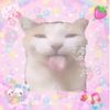 cutecore_.cheksss