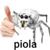 srmrcrack
