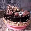 hamdelillahgmail.com