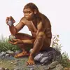 2sapiens