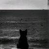 blurhythm.157