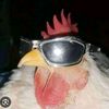 el_papu_682