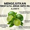santrisalafi059