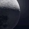 briana_0534