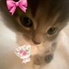 adell_full01