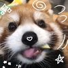 omg.its.kenzii
