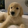 user_0909300