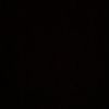 kevin_831111