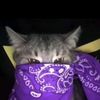 willz_wkwk_701