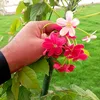 user3330144247923