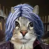 gans_play12