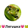 user7072322306778