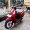 scoopy_505