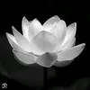 khongbt0109