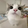 ngocquy0110