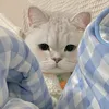 itsur_virgogirlie
