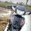 donypngglla__