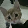 .nxmbbbb