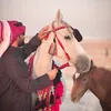 هـاوي ☪︎ | 📸🎠