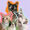 gatos_doapartamento402