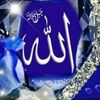 kanwal4739