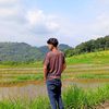 .febribintang