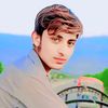 syedz670