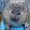 tulechiki_3.3