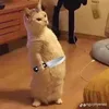 thuyytrangg_4