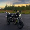 pihlajamakieero