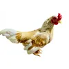 gatrebachd