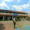 pinna_0305