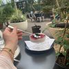 amona_719