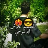 ali12loi