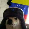 todosmellamanrex
