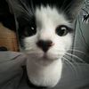 qwesfthfy