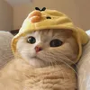 Cat_world