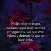 adolfogomez979